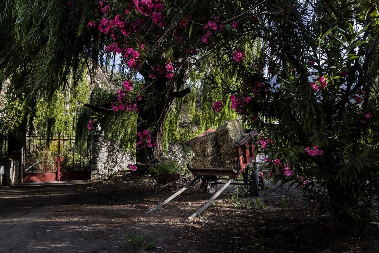 Casona El Resguardo - Solo Adultos Bed and Breakfast Río Blanco Eksteriør billede